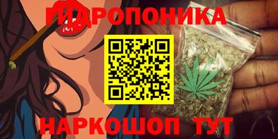 кокс Нягань