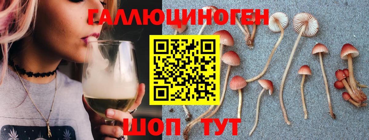 Псилоцибиновые грибы Psilocybine cubensis  купить наркоту  Псилоцибиновые грибы мухоморы  Саров  Вход с VPN 