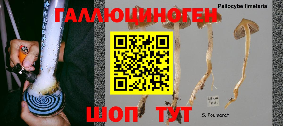 Псилоцибиновые грибы мицелий Саров